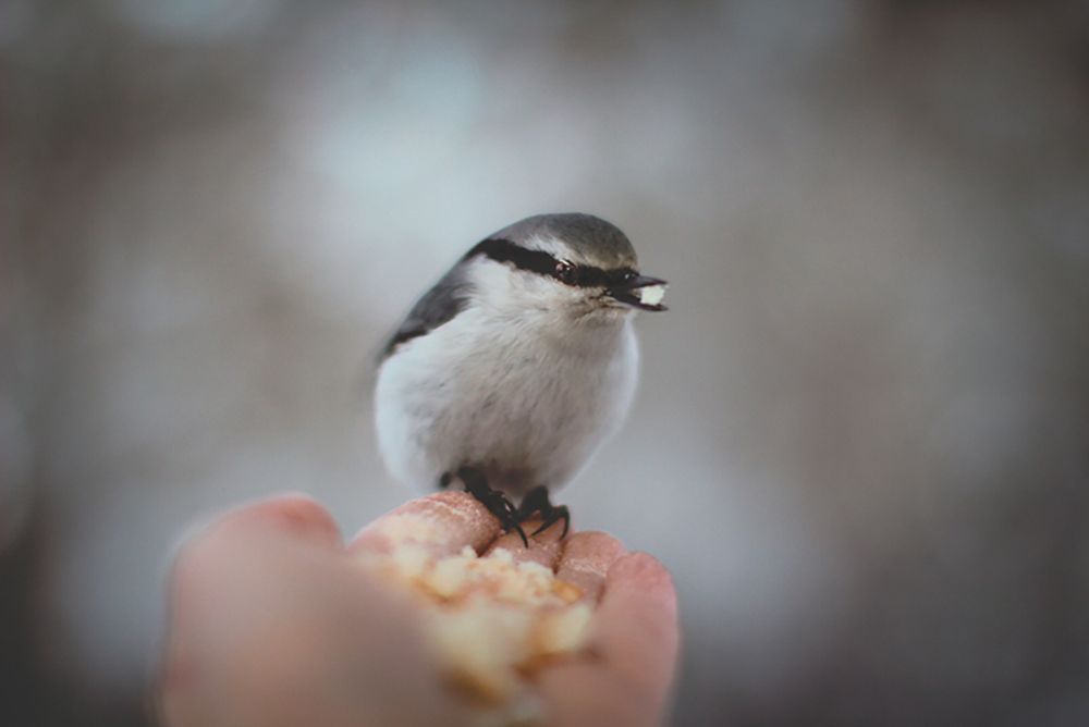 Photograph by Олеся Переверзева