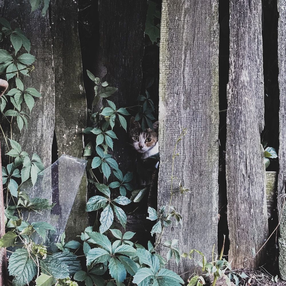 Photograph by Елена Басс