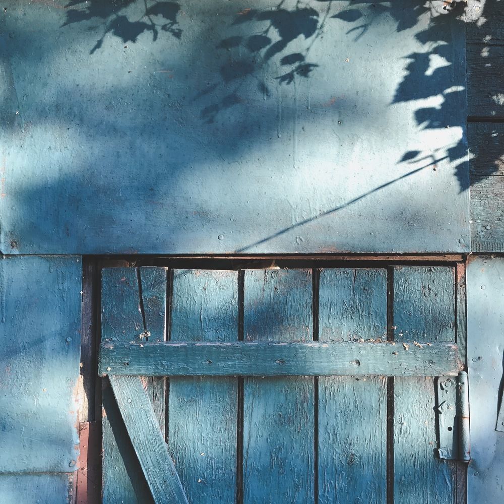 Photograph by Елена Басс