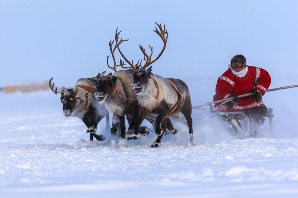 На всех парах
