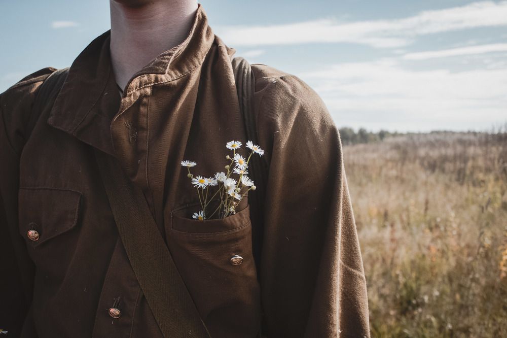 Chamomiles remember the past