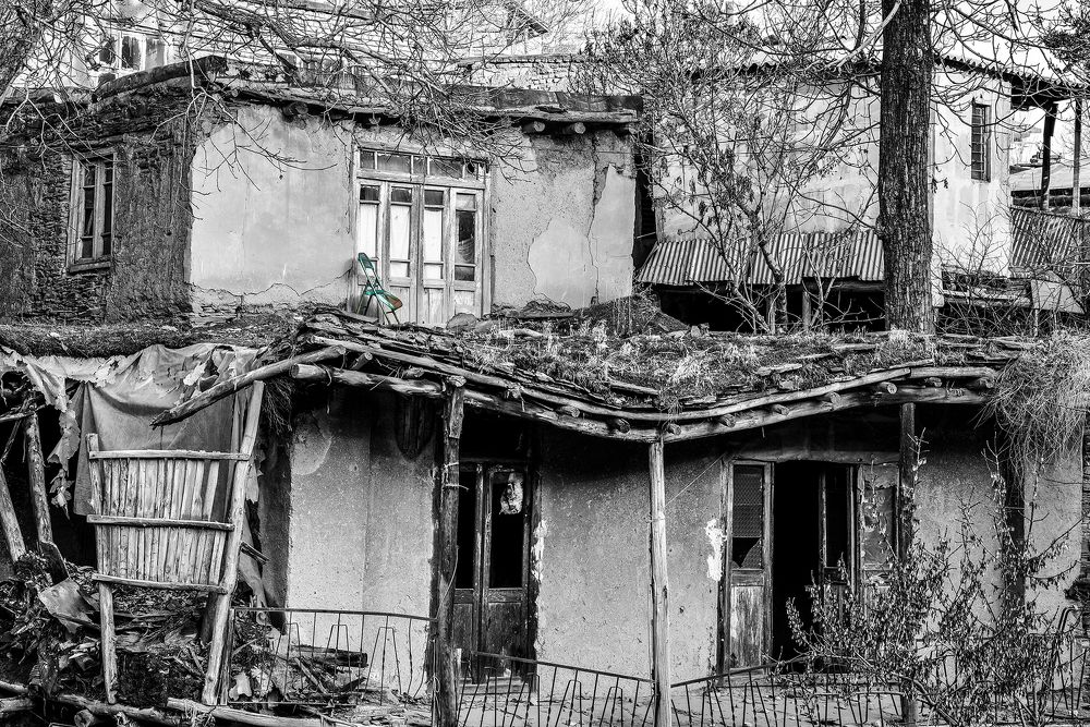 Photograph by sedigheh aminihesari