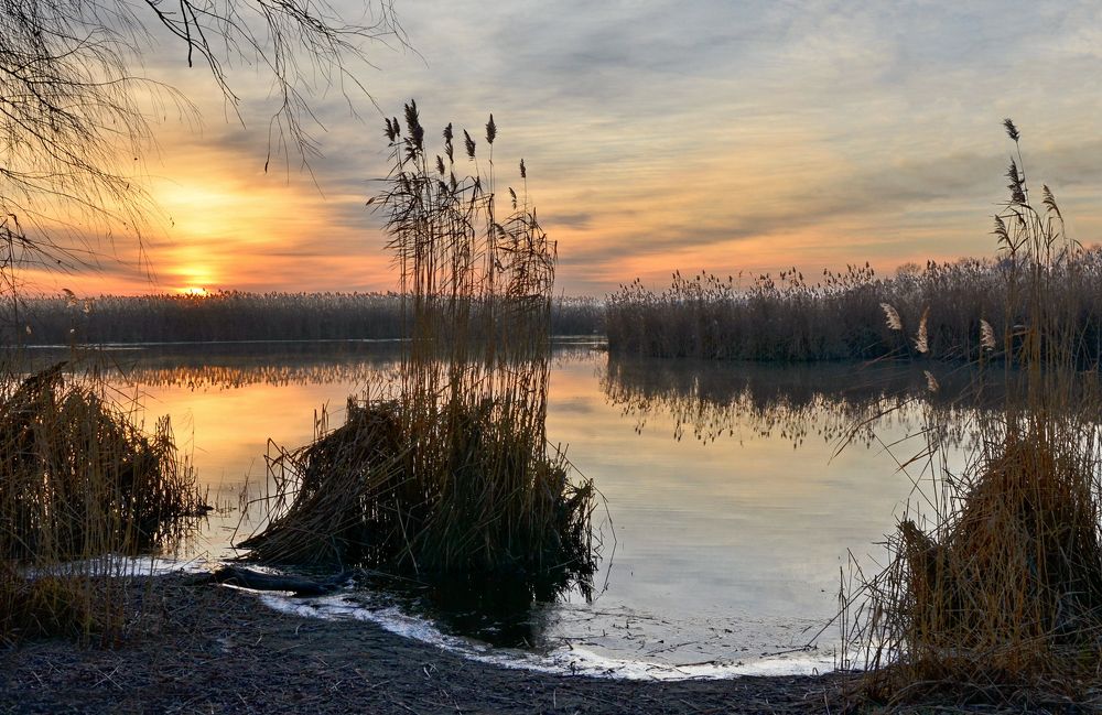 Зимнее утро