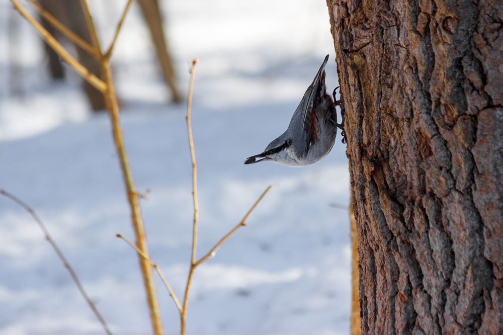 Photograph by Денис Швыдкий