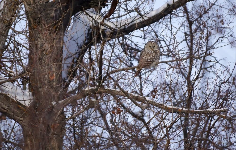 Photograph by Александр Попов