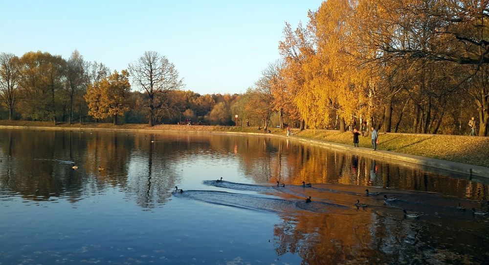 Осенняя пора