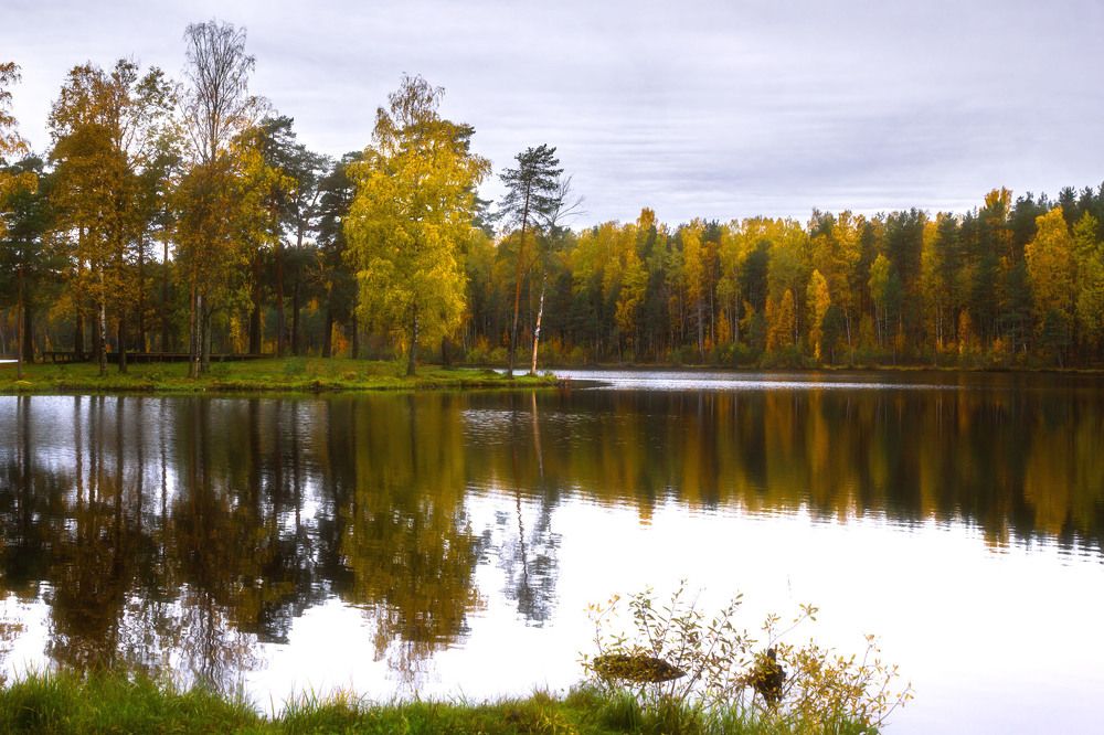 Photograph by Алексей Герасимов