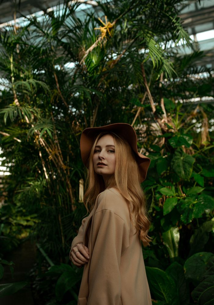 Tropics