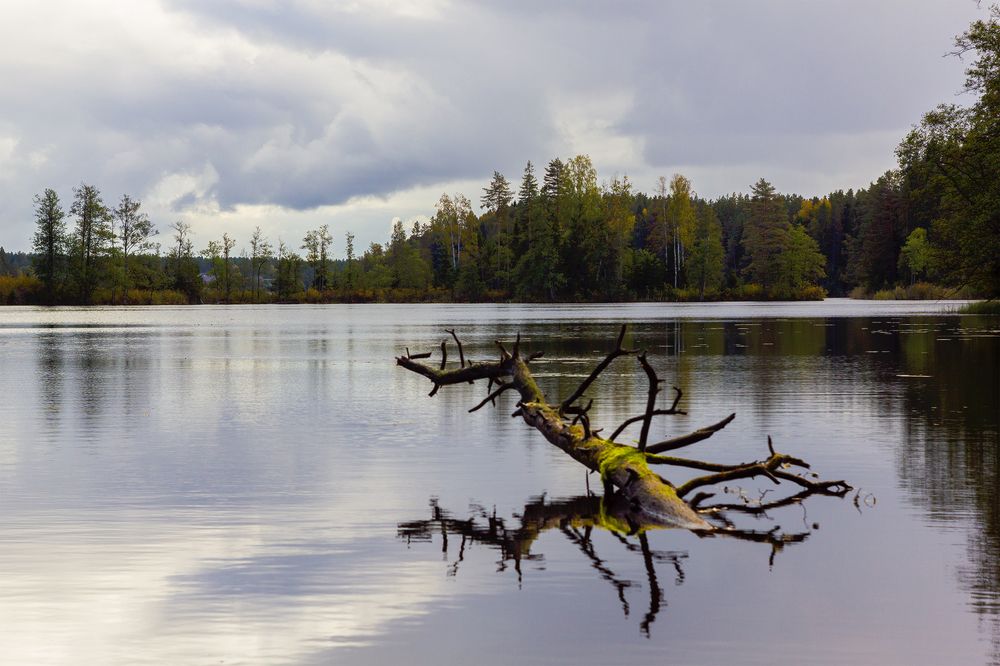 Photograph by Алексей Герасимов