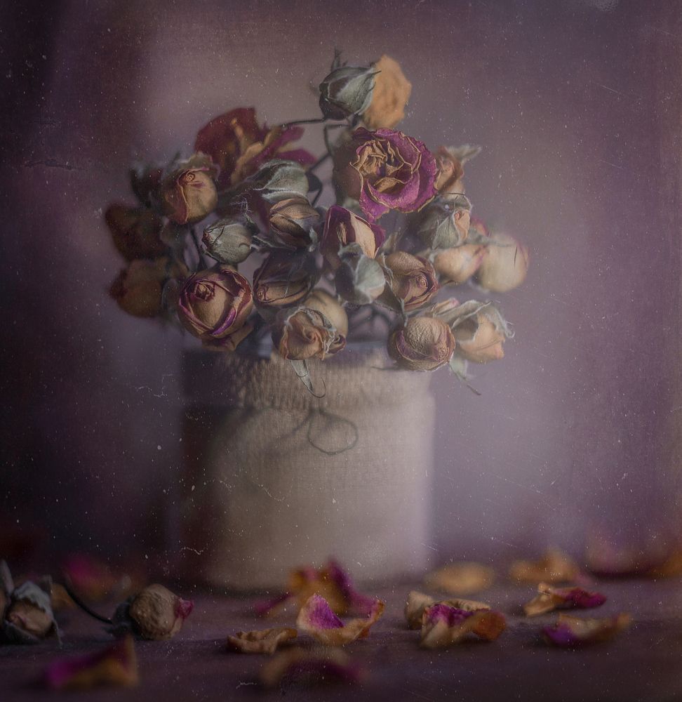 сиреневая мгла*