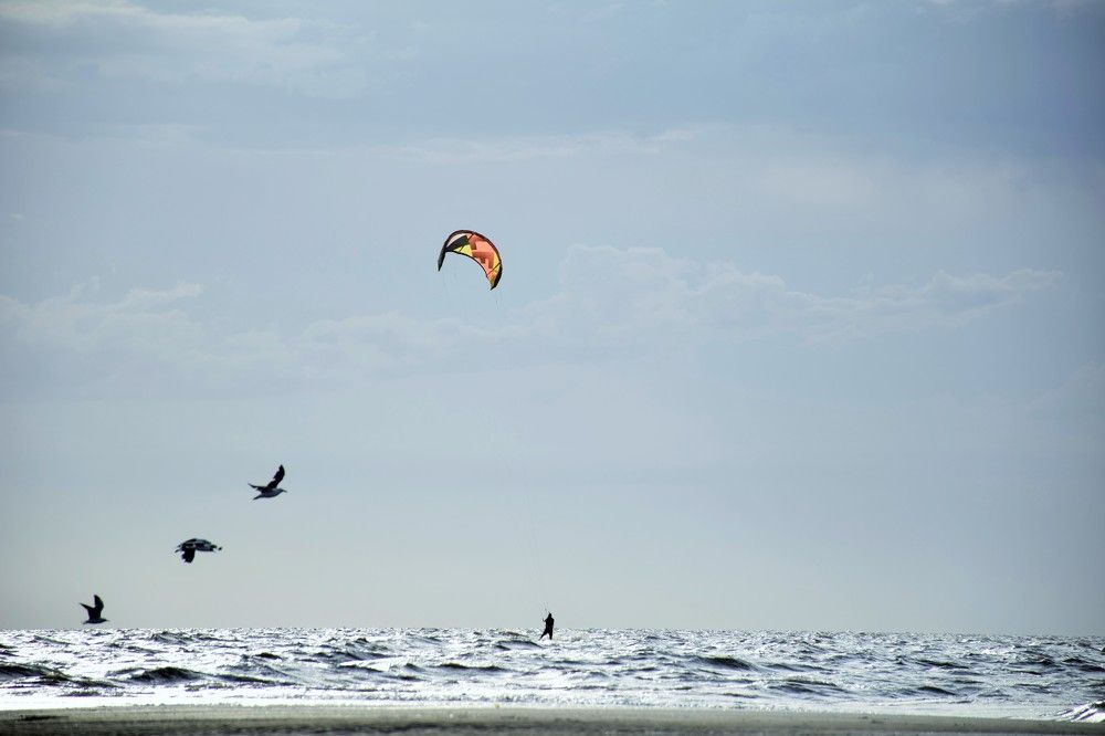 Wings