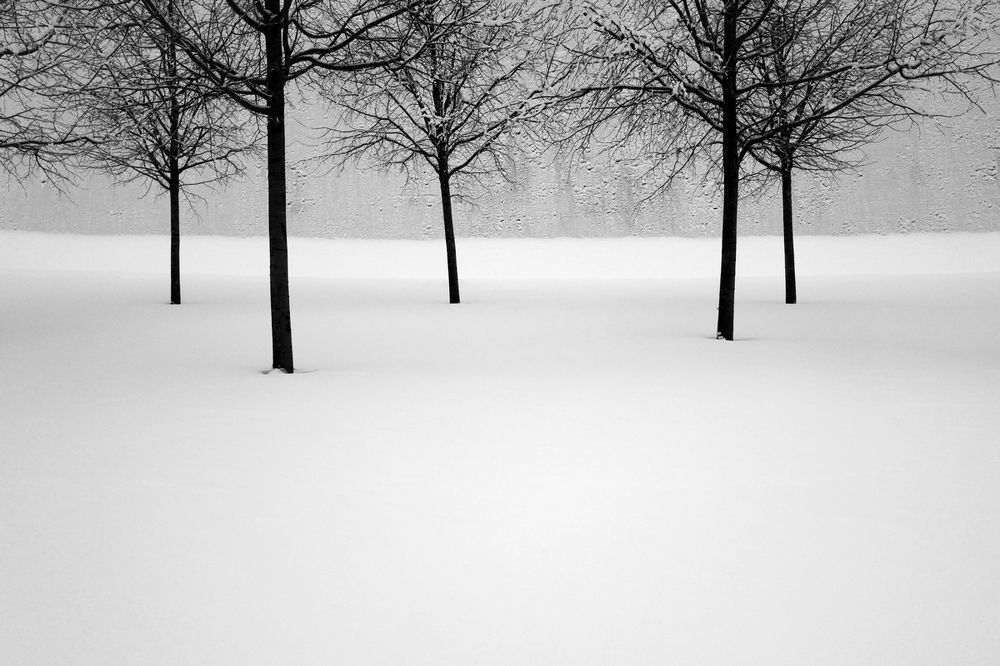 Белая история.