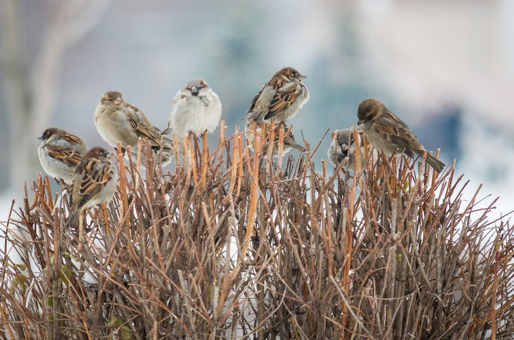 Заседание продолжается...