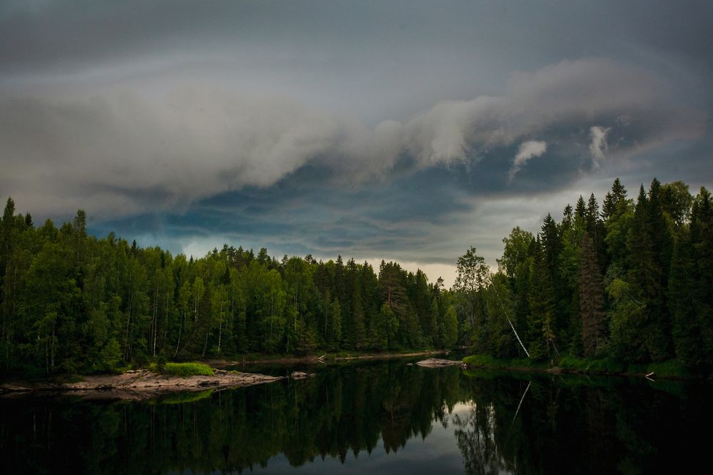 Перед грозой