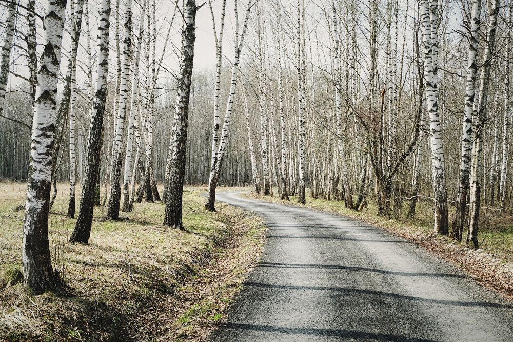 Photograph by Anna Saltykowa