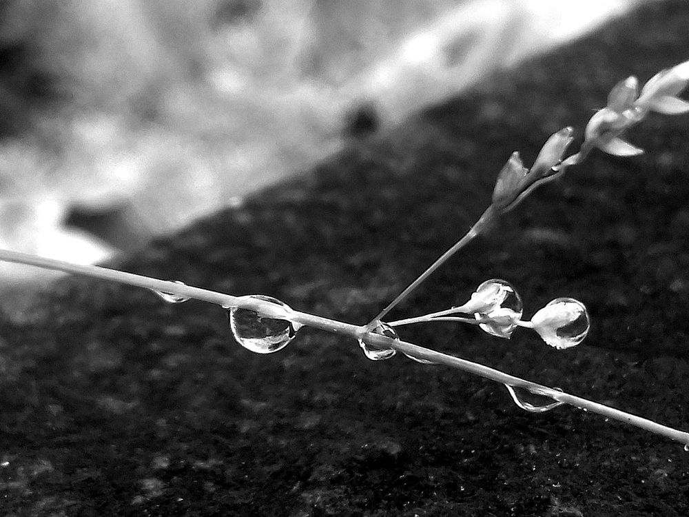 Фотография автора Владислава Андрюнина