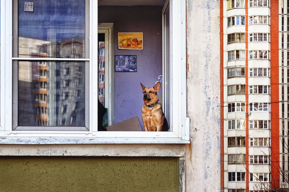 Photograph by Ольга Майорова