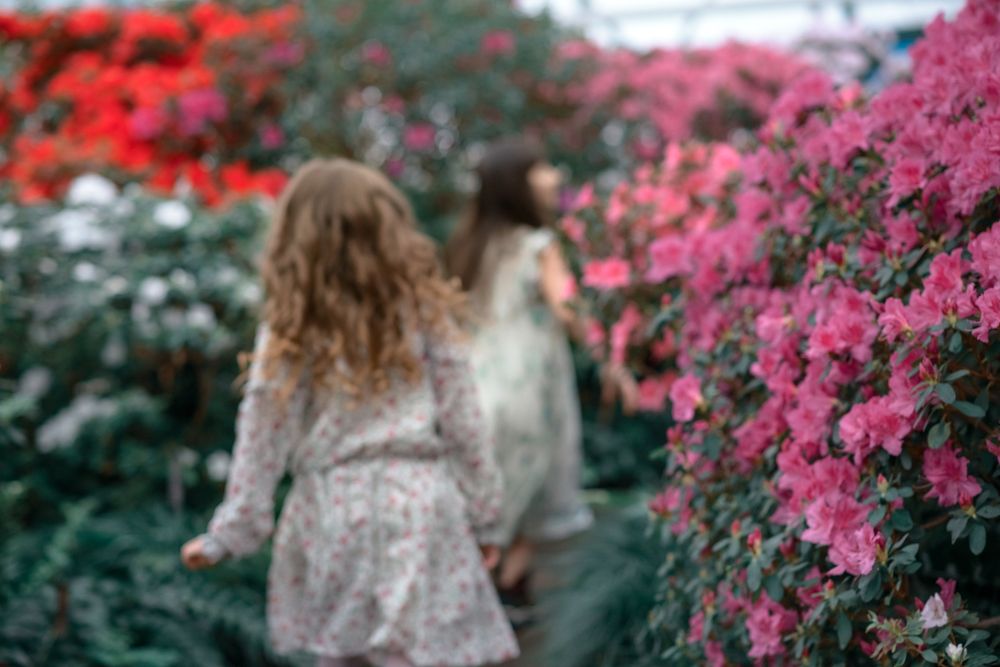 Беги в весну