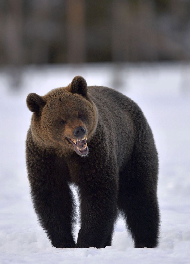 Не выспался.