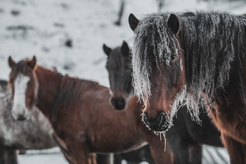 Photograph by Иоанн Степанченко
