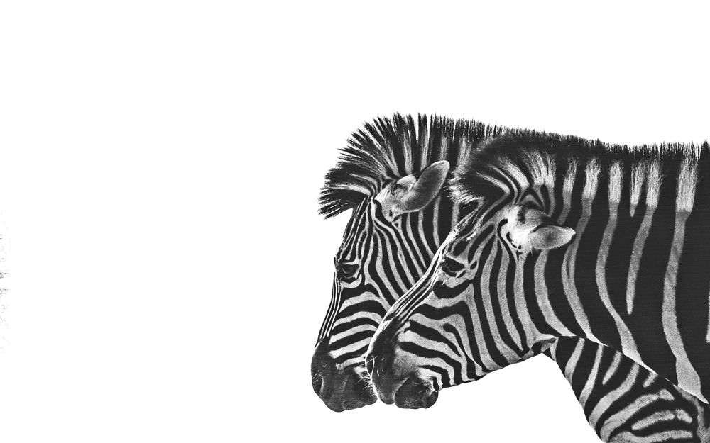 Photograph by Sajid Sifat