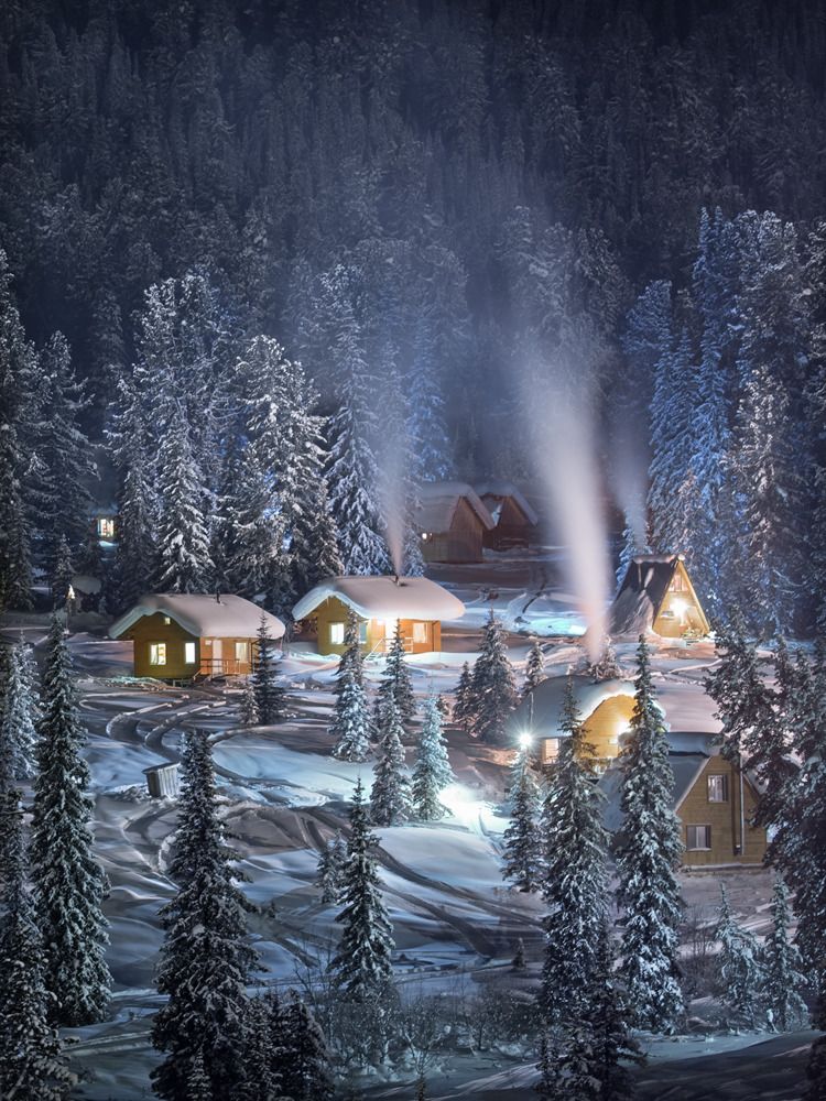 Таёжный уют / Taiga cosiness