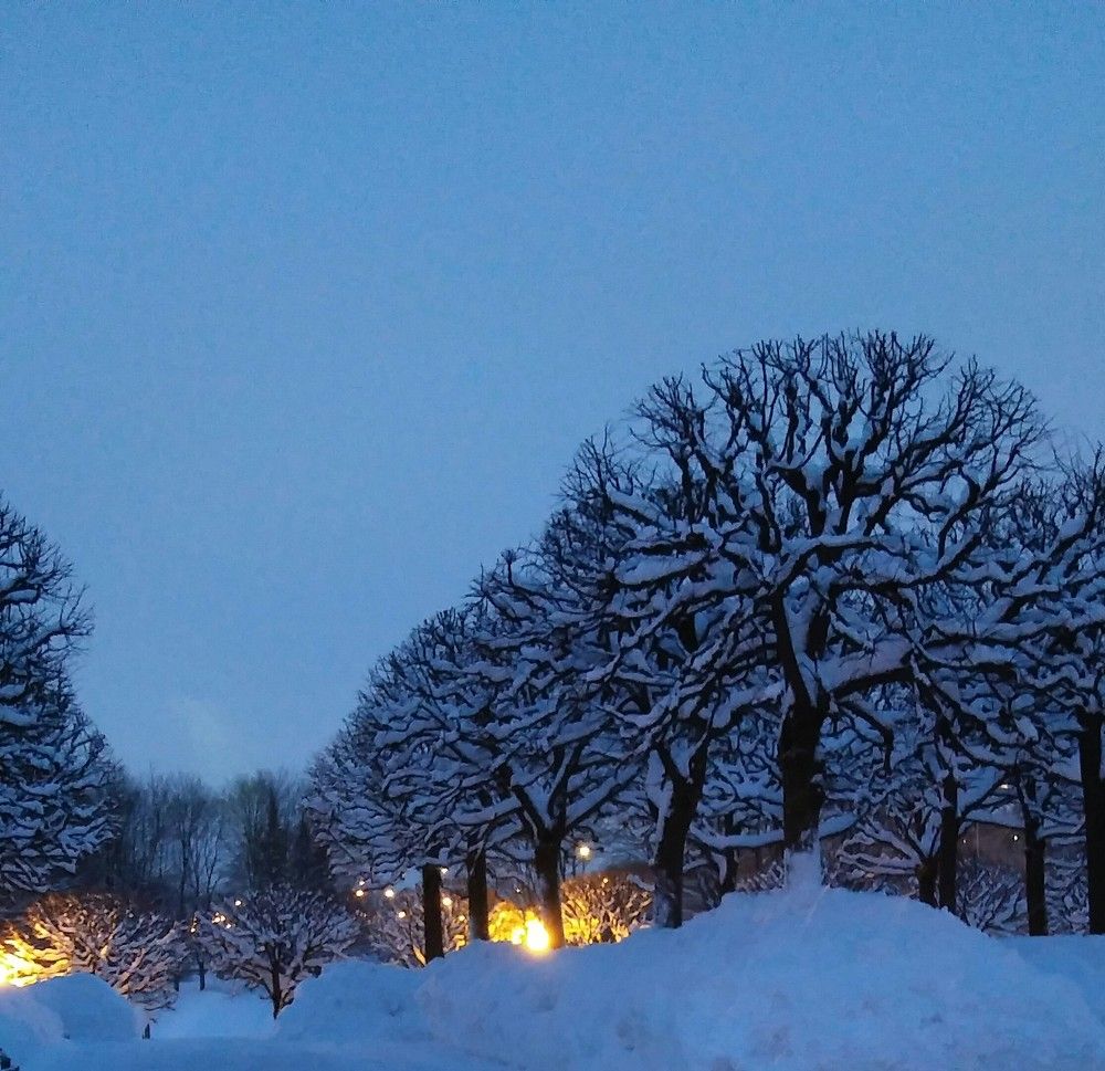 Пискарёвский мемориал.