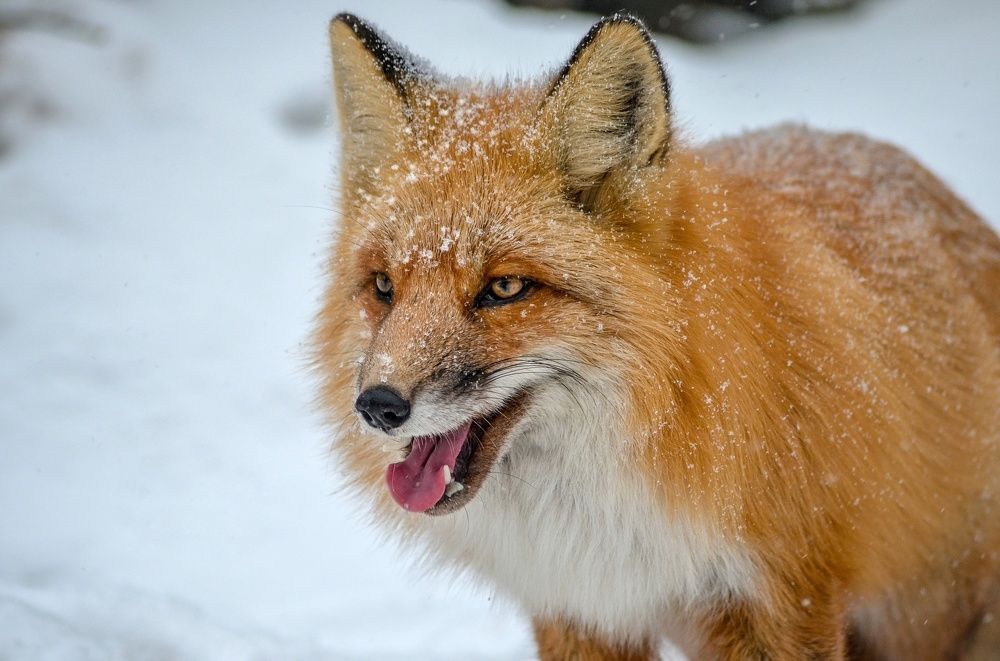 После пробежки