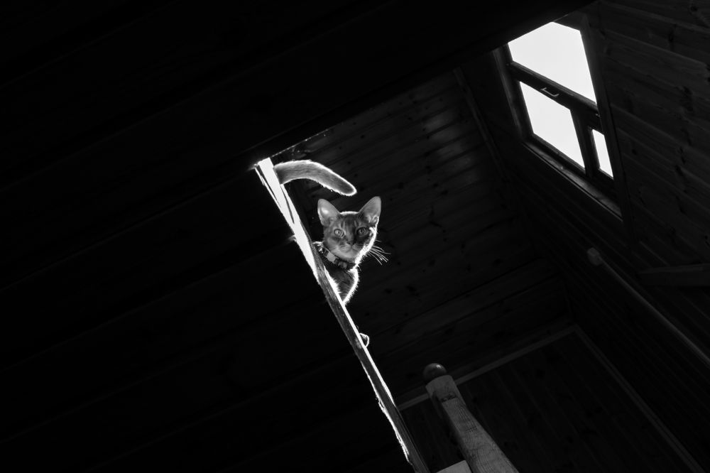 Photograph by Алёна Рындовская