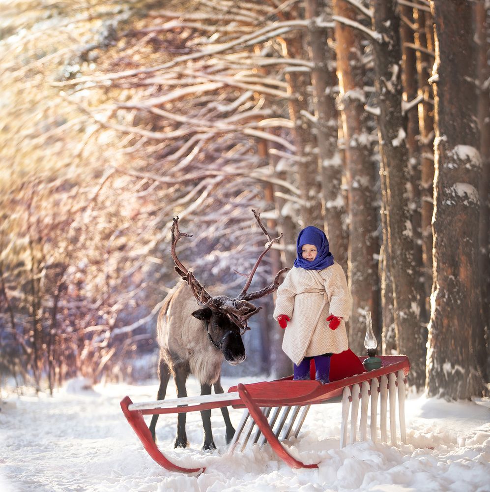 Лесная братва