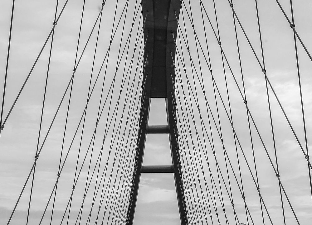 Фотография автора mohamadjavad yavarinaman