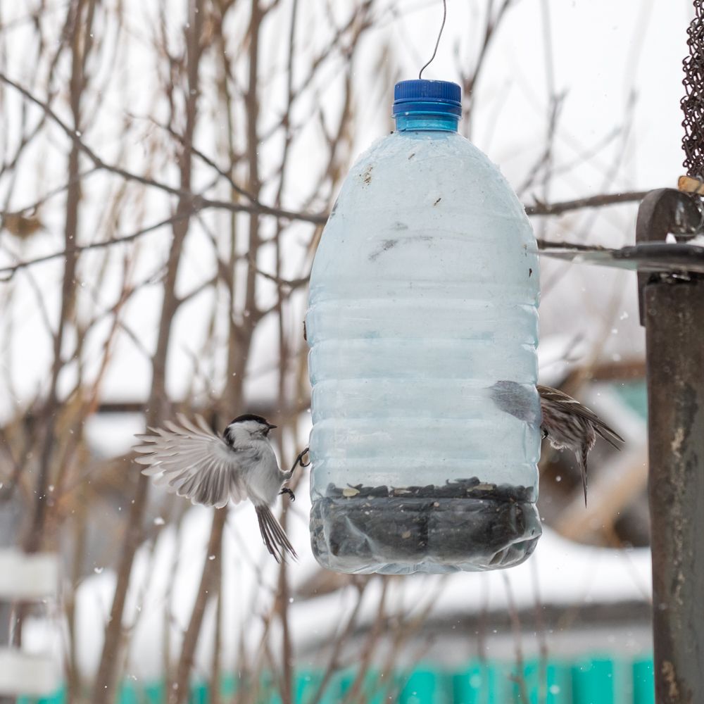 Чужих не пускаем
