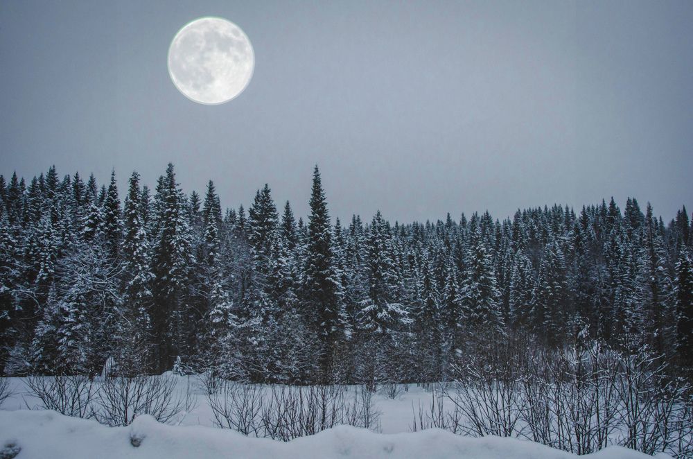 Photograph by Ксения Корсакова