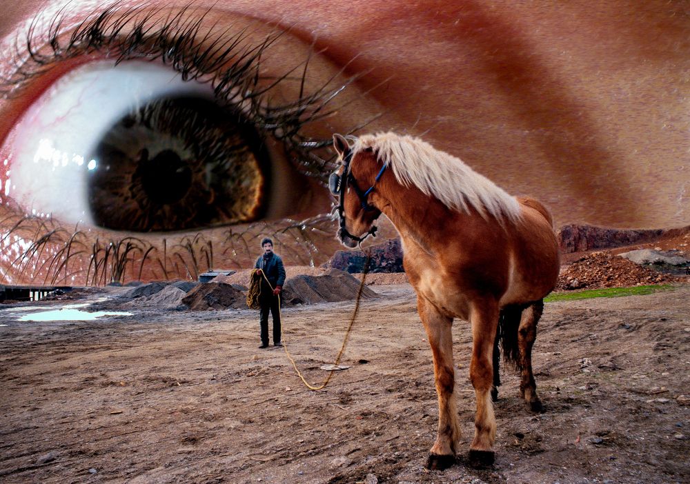 Dream of Man and Horse