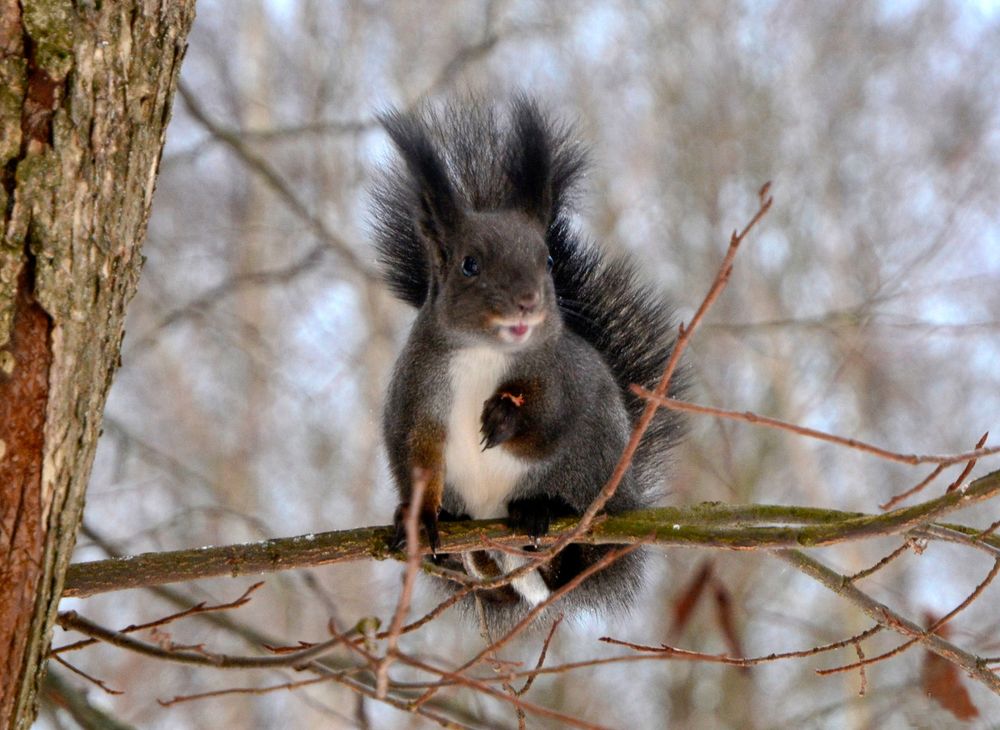 Поел и улыбнуться можно...