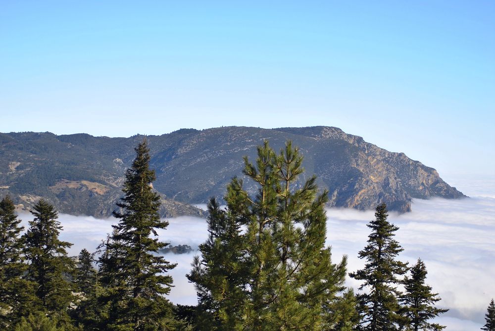 Inside the Clouds
