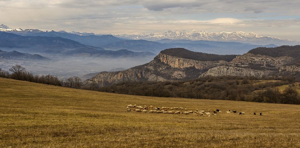 Осенне-весенняя зима