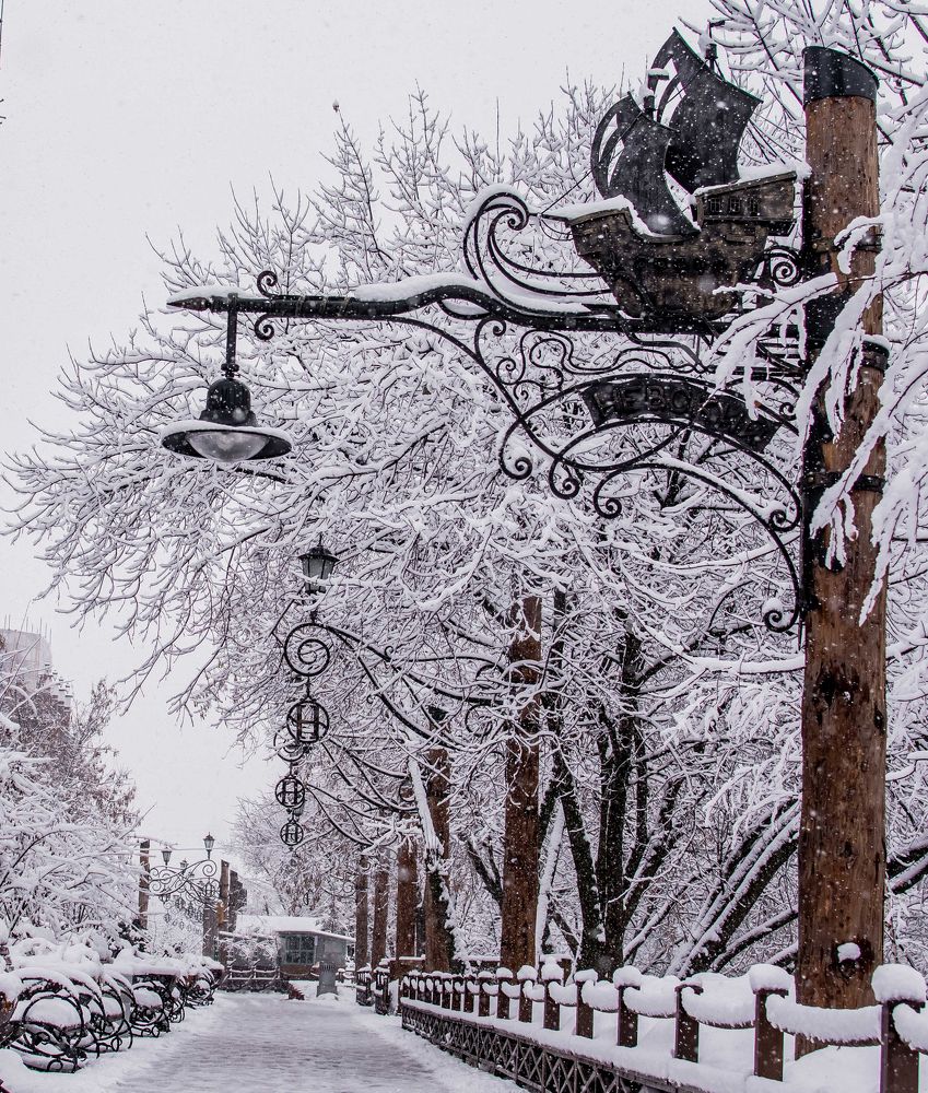 Photograph by Дмитрий Жижин