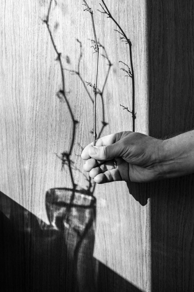 Photograph by Татьяна Макотра