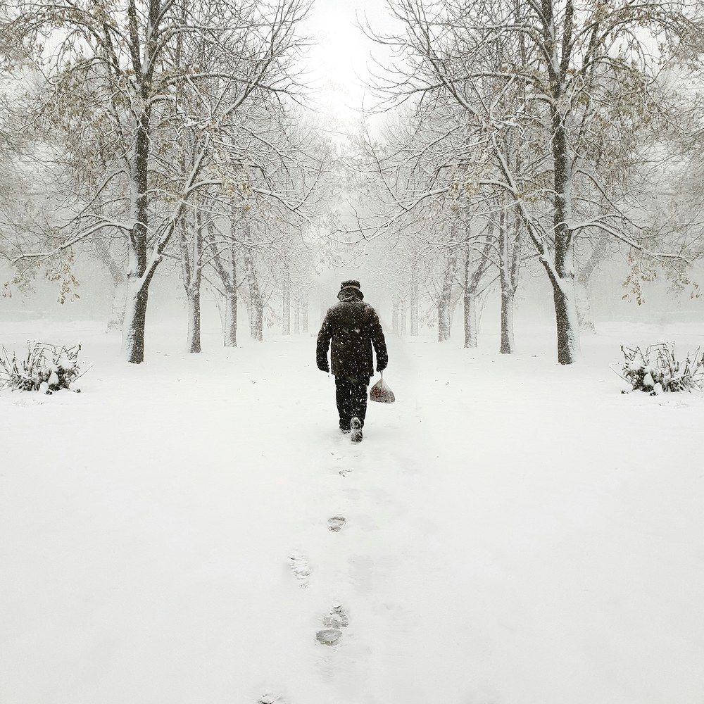 Man carrying groceries