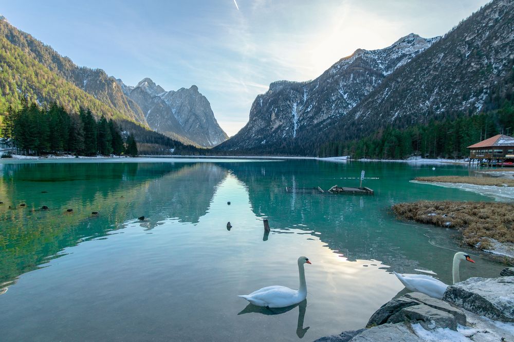 Изумление присутствием