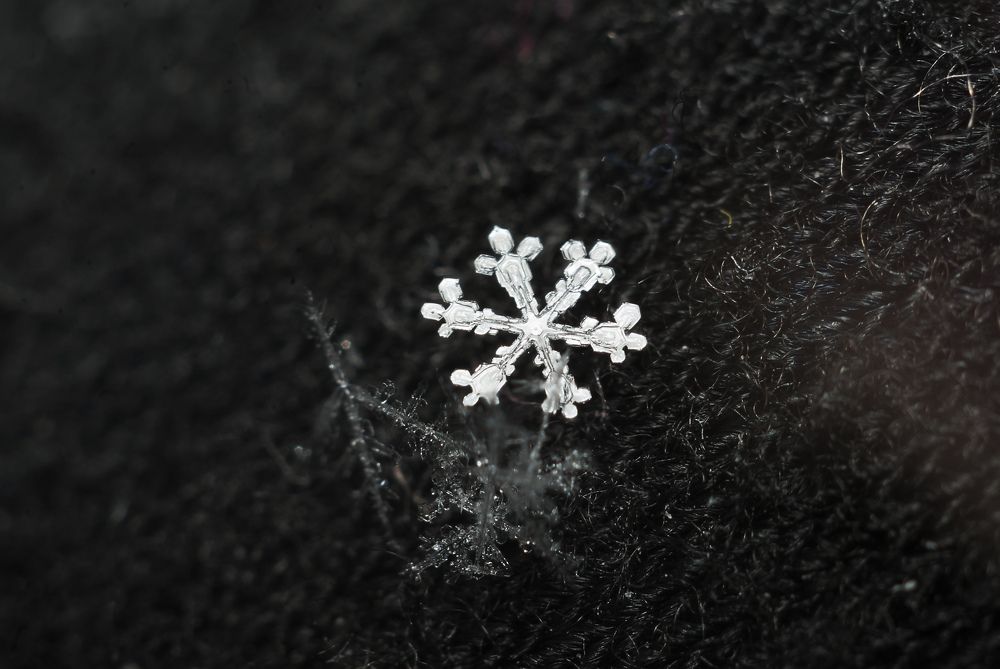 Photograph by Игорь Мальцев