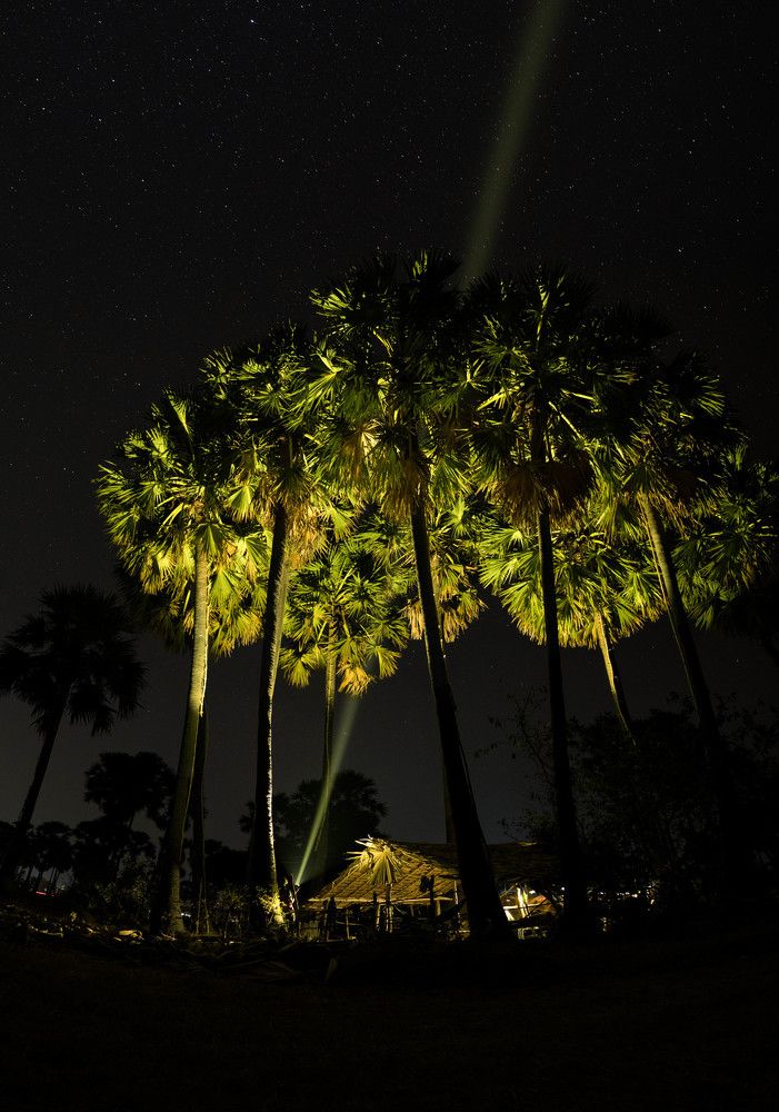 The Palm Sugar cottage