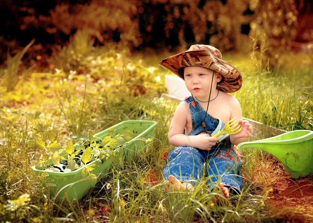 Маленький дачник