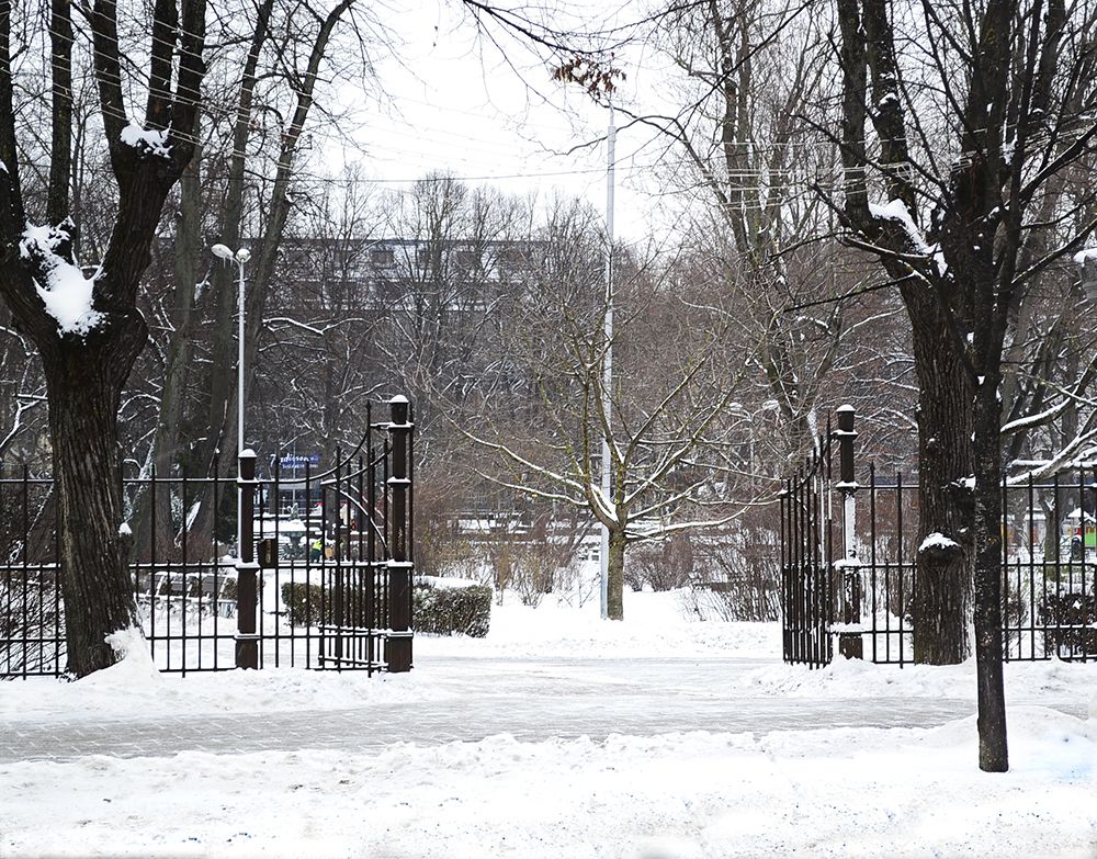 Зима в парке. - Winter in the park.