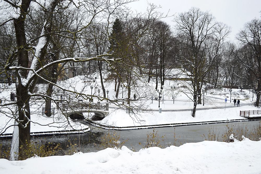 Зима в парке. - Winter in the park.