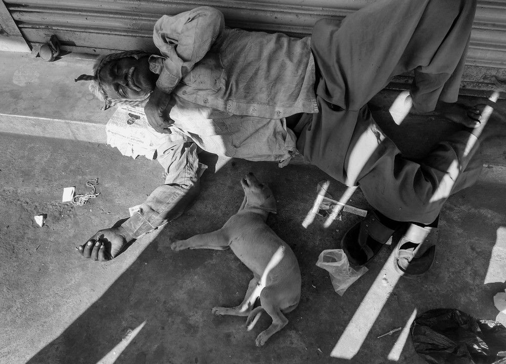 A abonded poor dog with loyal friend