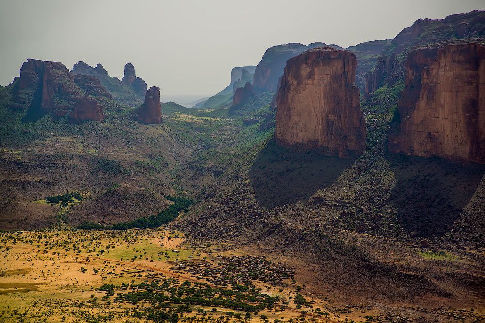 Стражи Сахары