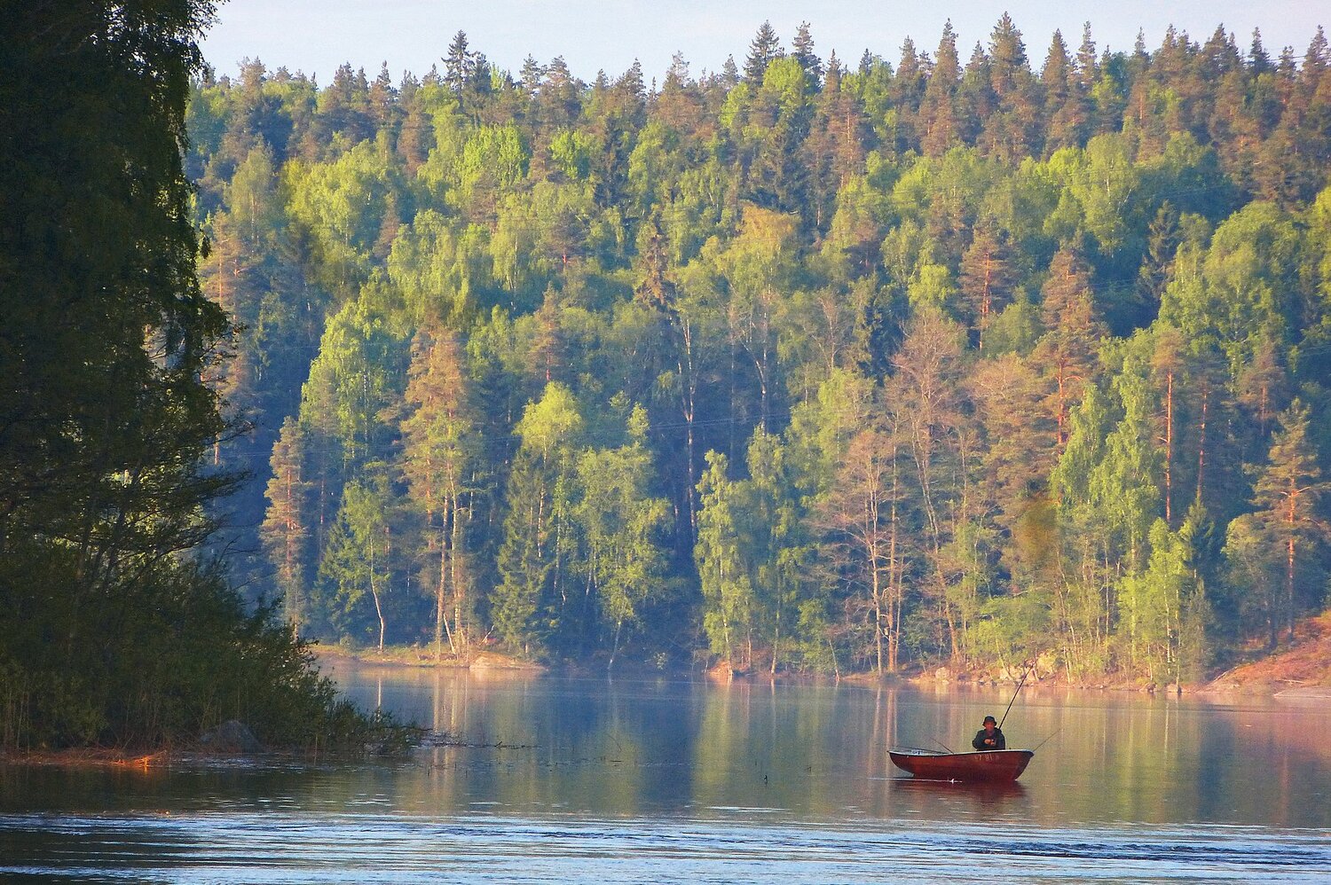 Четверг - рыбный день.
