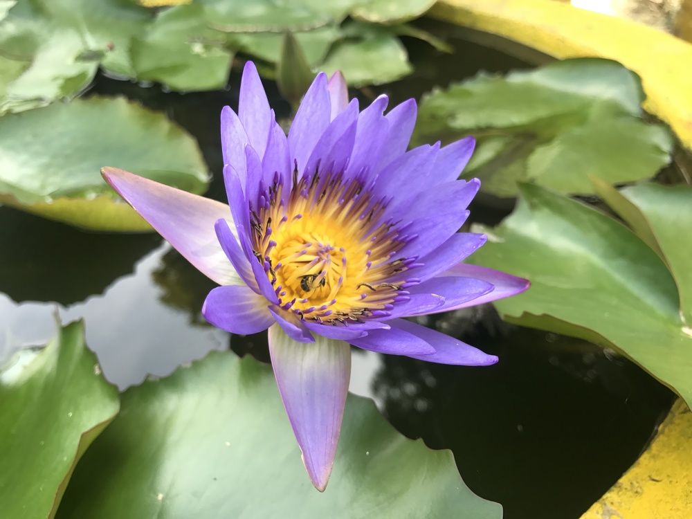 Photograph by Илья Астапов